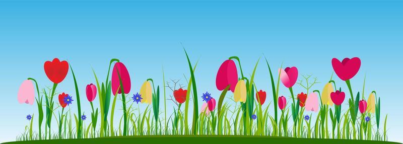 Flower meadow with spring flowers on a blue sky background.