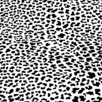 Vector black leopard, cheetah and jaguar print pattern animal seamless. Leopard, cheetah and jaguar skin abstract for printing or home decorate and more.