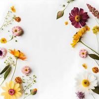 Top view floral background photo with plenty of copy space, perfect for website backgrounds, social media posts, advertising, packaging, etc. Vibrant flowers, lush greenery, shallow depth of field.