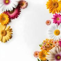 Top view floral background photo with plenty of copy space, perfect for website backgrounds, social media posts, advertising, packaging, etc. Vibrant flowers, lush greenery, shallow depth of field.