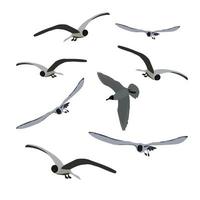 Set of flying seagulls isolated on white. Tern birds in different poses. Grey colour. Vector EPS10.