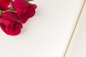 Red rose on notebook background photo