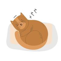 lindo gato en diferentes poses aislado sobre fondo blanco en estilo plano moderno. animales ilustración vectorial vector