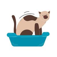 lindo gato en diferentes poses aislado sobre fondo blanco en estilo plano moderno. animales ilustración vectorial vector