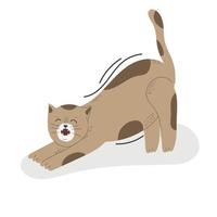 Cute cat in different poses isolated on white background in modern flat style. Animals. Vector illustration