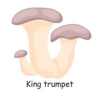 King trumpet. Mushroom. Isolated on white background. Forest. For your design. vector