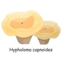 Hypholoma capnoides. Mushroom. Isolated on white background. Forest. For your design. vector