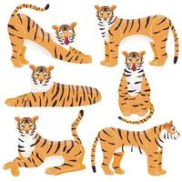 tigre chino conjunto de animales lindos. gato. en un estilo plano moderno. símbolo del año. para su diseño. vector