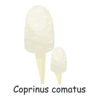 coprinus comatus. hongo. aislado sobre fondo blanco. bosque. para su diseño. vector