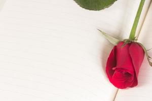 Red rose on notebook background photo