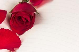 Red rose on notebook background photo
