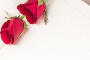 Red rose on notebook background photo