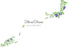 set of beautiful butterfly pea floral frame vector