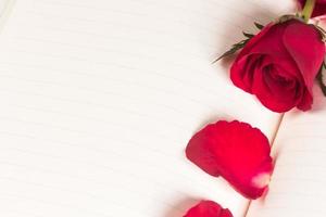 Red rose on notebook background photo