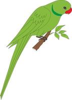 Parrot or parakeet editable slihouetee file vector