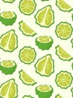 pattern whole and  piece of bergamot on white background vector