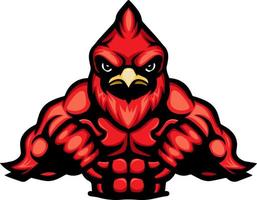 Strong cartoon red cardinal mascot vector