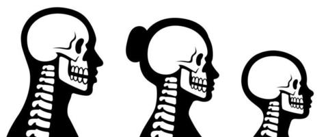 cráneo y columna vertebral en cabeza humana vector