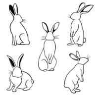 Bunny, hare outline vector set, rabbits in different position collection, monochrome, easter, line art, outline, isolated on white background