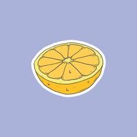 fresh orange slices vector