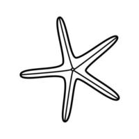 icono de estrella de mar, aislado único sobre un fondo blanco. ilustración vectorial fauna del bosquejo de garabatos del mundo submarino. vector
