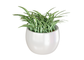 Diseño de renderizado 3d de plantas ornamentales para las necesidades de decoración del hogar. png