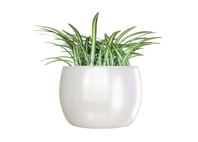 Diseño de renderizado 3d de plantas ornamentales para las necesidades de decoración del hogar.