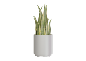 3D-Rendering-Design von Zierpflanzen für Heimdekorationsbedürfnisse png