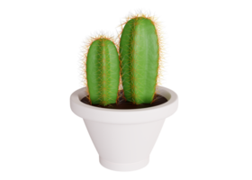 Projeto de renderização 3D de plantas ornamentais para necessidades de decoração de casa png