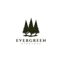 Evergreen, Woodland, Cedar trees, Spruce, Pines logo design vector template