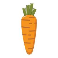 carrot vector illustration for your design element