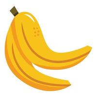 ilustración vectorial de plátano para su elemento de diseño vector