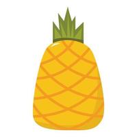 ilustración vectorial de piña para su elemento de diseño vector