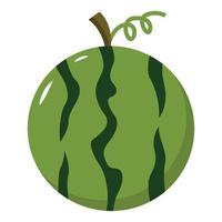 watermelon vector illustration for your design element