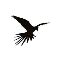 silueta de pájaro guacamayo volador para logotipo, pictograma, ilustración de arte, sitio web o elemento de diseño gráfico. ilustración vectorial vector