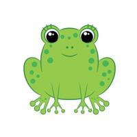 Cute cartoon green frog isolated on white background. vector
