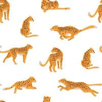 Running and hunting cheetah, spotted leopards vector