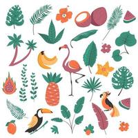 Tropical plants and birds, exotic flora and fauna vector