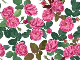 patrón floral con peonías o rosas y follaje vector