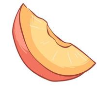 Nectarine or peach, apricots big juicy slices vector