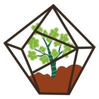 Small bonsai tree in glass pot, potted house plant vector