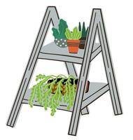 Potted plants standing on loft shelves vector