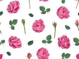 Roses or peonies, stems and leaves pattern print