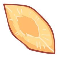 Piece of peach or nectarine, apricot fruit vector