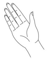 Palm drawn in line art style, hand with fingers vector