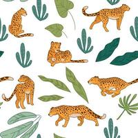 Leopards with leaves and tropical foliage of park vector