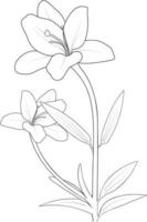 Lily blossom flowers and branch vector illustration. hand Drawing vector illustration for the coloring book or page Black and white engraved ink art, for kids or adults.