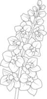 Delphinium flower line art, vector illustration, hand-drawn pencil sketch, coloring book, and page, isolated on white background clip art.