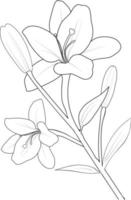 Set of vector hand-drawn lily flowers. ink sketch isolated on white background.