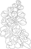 Delphinium, larkspur flower line art, vector illustration, hand-drawn pencil sketch, coloring book, and page, isolated on white background clip art.